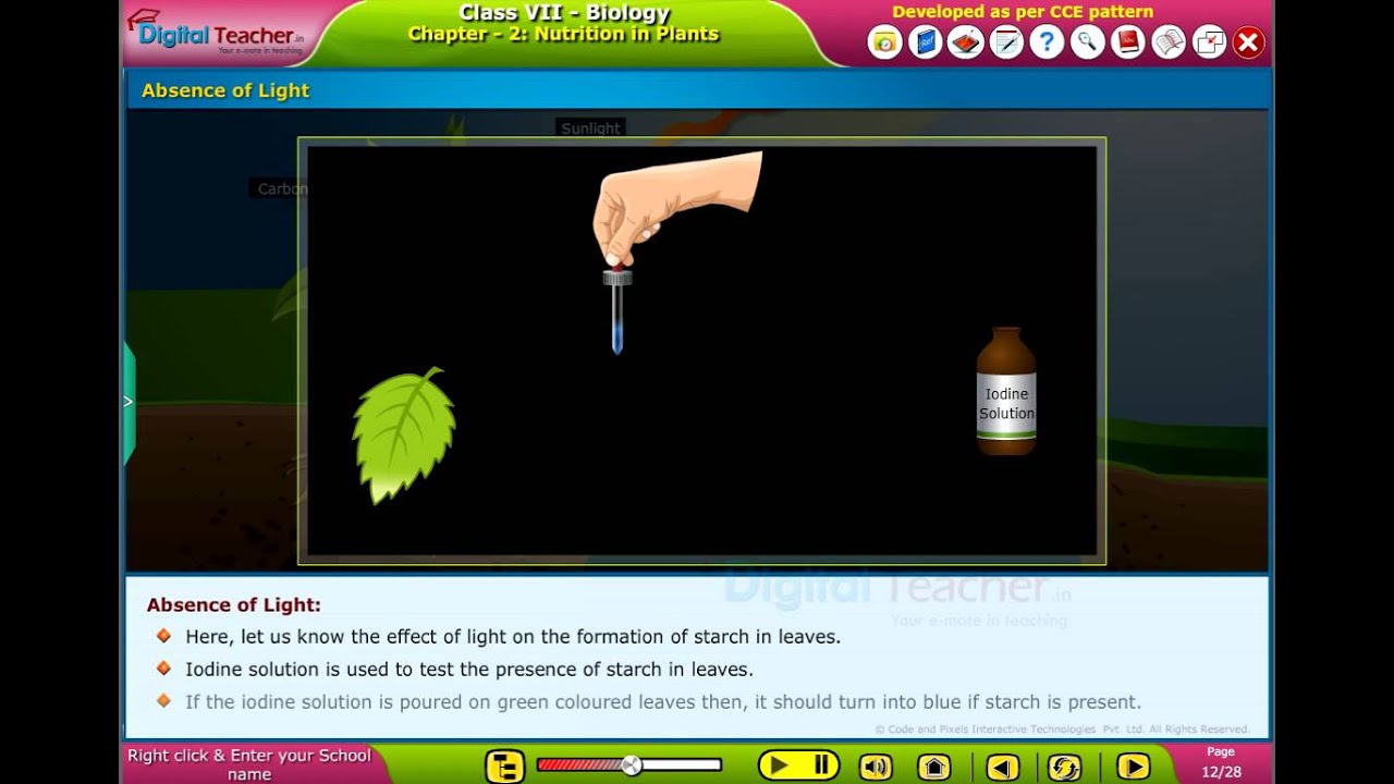 Starch Absence of Light Nutrition in Plants, Class 7 Biology Smart