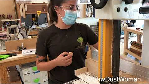 Sawdust Woman Interview