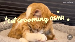Relaxing Cat Grooming ASMR 🐱💤 | Calming Licking Sounds for Sleep, Relaxation & Study, Anxiety Relief screenshot 4