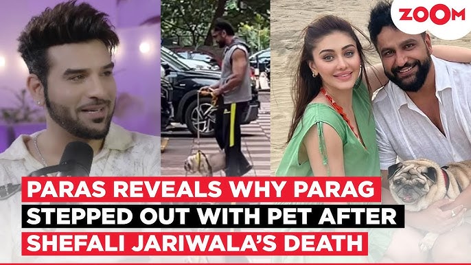 Paras Chhabra REVEALS why Parag Tyagi stepped out with his pet after  Shefali Jariwala's sudden death