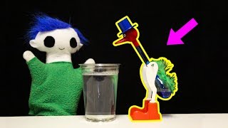 Drinking Bird Science Experiment | Science for Kids