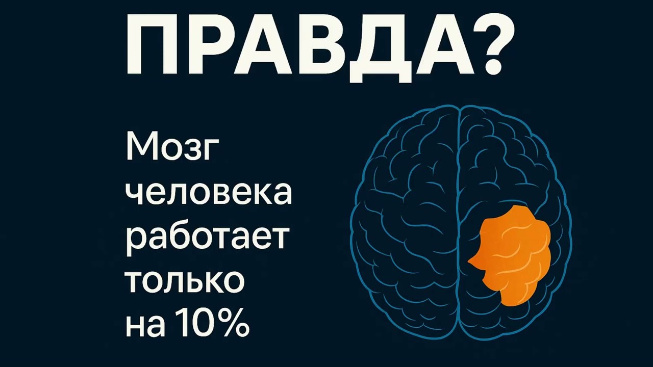 Мозг на 10%? ПРАВДА или МИФ? 🧠 | [dcteam] разбирает