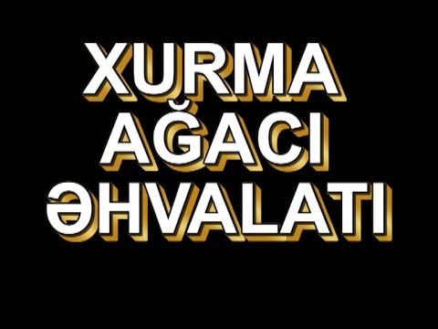 Video: Xurma Ağacı Niyə Saralır?