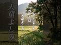 懐かしい曲『天童よしみ - 竹とんぼ』懐メロ ショートMV作ってみた!
