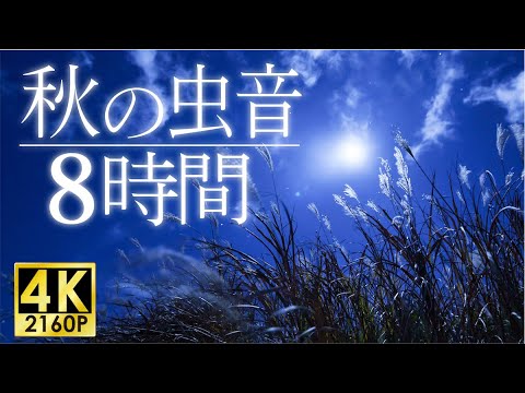 【安眠用BGM】秋の虫音　8時間