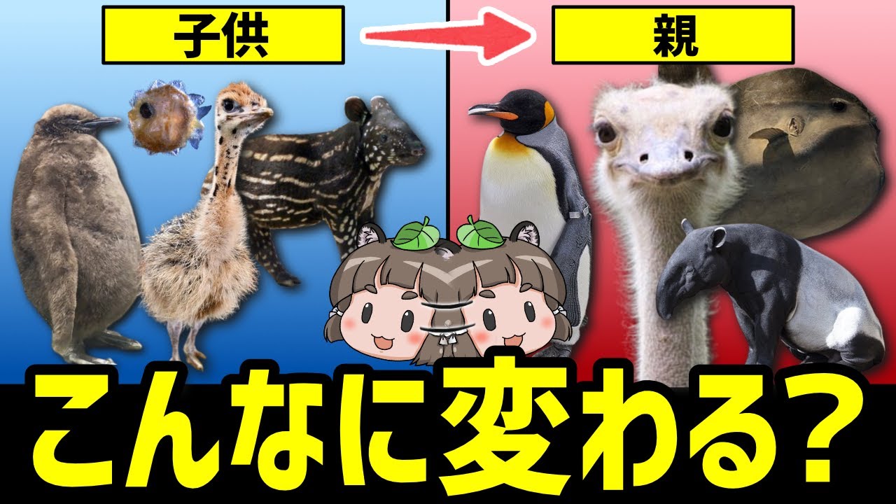 【大変身】あなた誰の子…?親子で違い過ぎる見た目の生き物10選