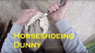 Horse shoeing Dunny