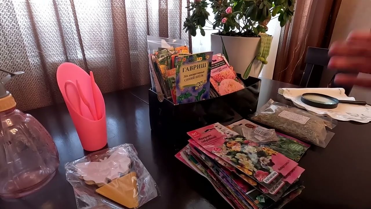 Мой выбор цветов на этот сезон