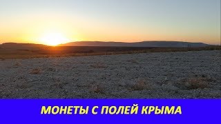 МОНЕТЫ С ПОЛЕЙ КРЫМА МОНЕТЫ С ПОЛЕЙ КРЫМА