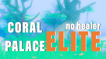 Dawn Of Isles | Dungeons As A Warmage | Coral Palace Elite No Healer!
