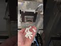 Nicotine pouches packing machine