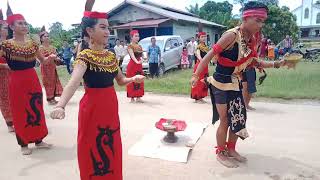 tarian tradisional Dayak kanayatn,,,,amboyo