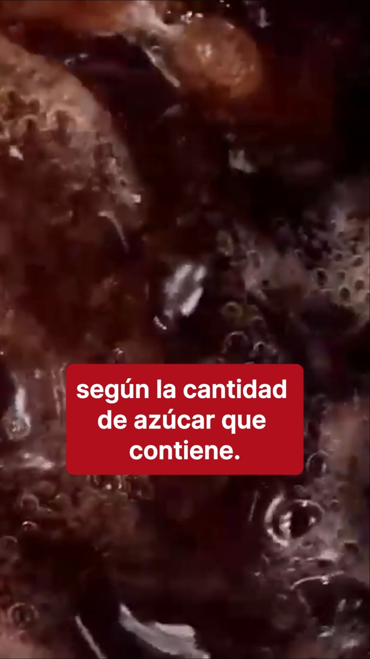 ¿Coca-Cola o Pepsi, cuál tiene más azúcar? Aquí los análisis de la Profeco