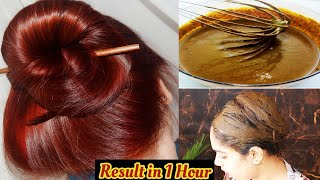 मेहंदी से बालों को कलर करने काSecretतरीका जो कोई नहीं बता |Secret Hair colouring with Henna | Mehndi