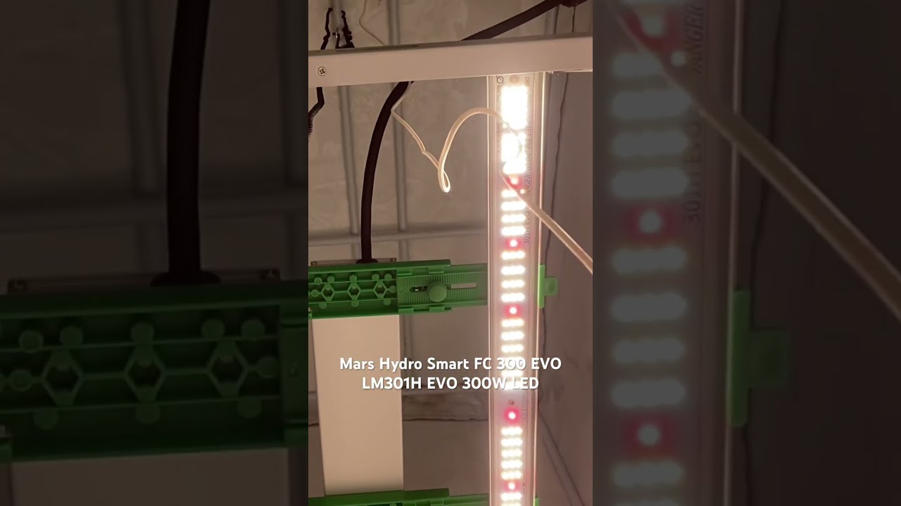 Mars Hydro Smart FC 3000 EVO LM301H EVO 300W LED