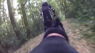 VLOG - MTB - Enduro - GoPro Test - Dogcam