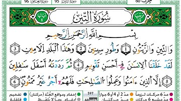 حمزة الجزائري سورة التين مكتوبة برواية ورش عن نافع