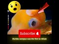 Deep in the ocean where sunlight never reaches, you’ll find some of the strangest animals on Earth