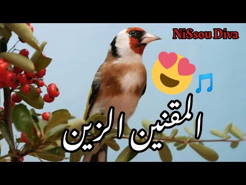   يا المقنين الزين 