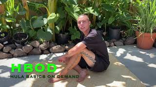 Welcome to HBOD (Hula Basics on Demand)