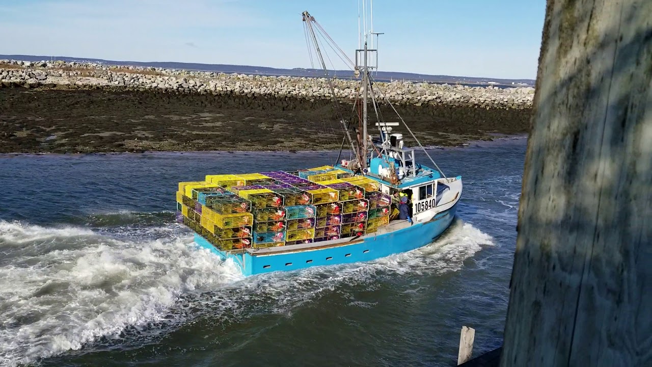 Opening Day, White Head Island, NB YouTube