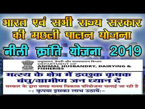fish-farming-blue-revolution-scheme-2019---मछली-पालन-नीली-क्रांति-योजना