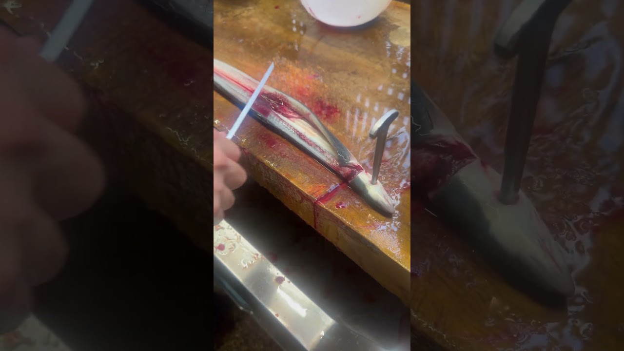 It's been six years since I started working as an eel chef. #eel #fishing #japan #professional
