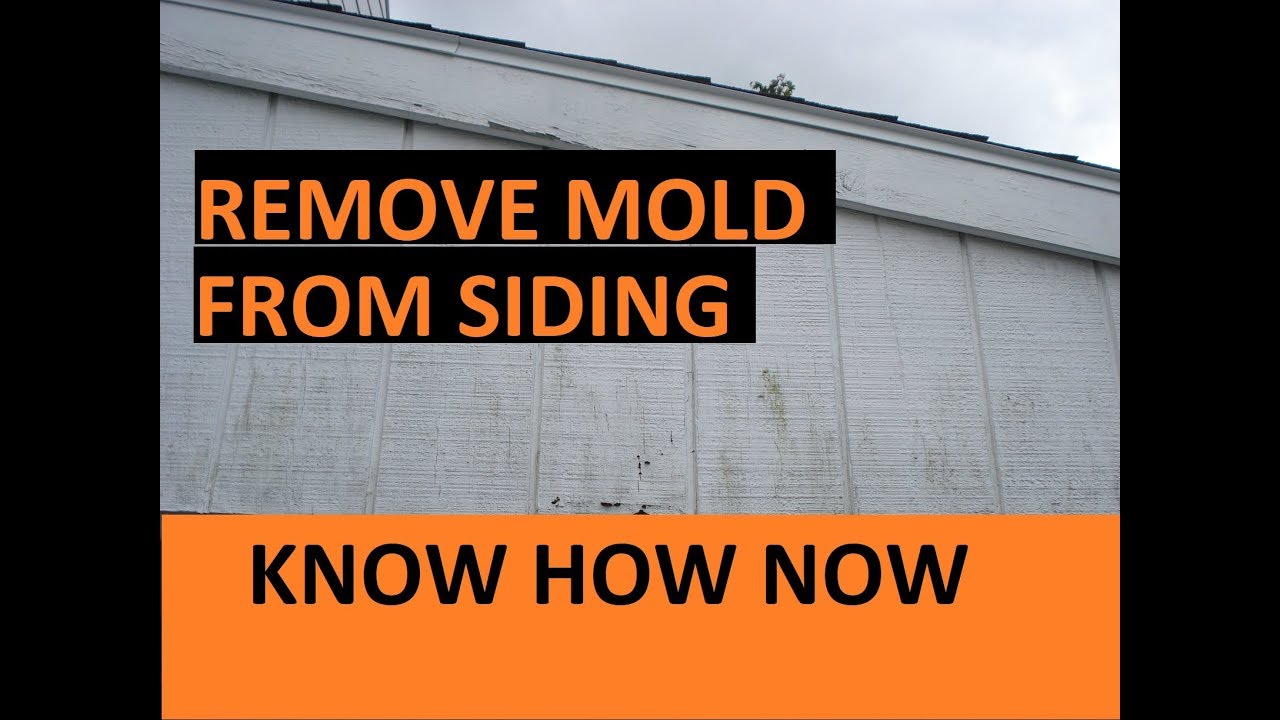 How To Clean Mold From House Wood Siding Youtube How To Clean Mold From House Wood Siding Youtube