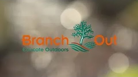 River Bedload Analysis