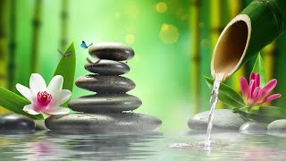 Harmony of Nature and Piano Music 🌿 Relaxing Sounds for a Calm Mind, Bamboo Water Sound, Sleep Music