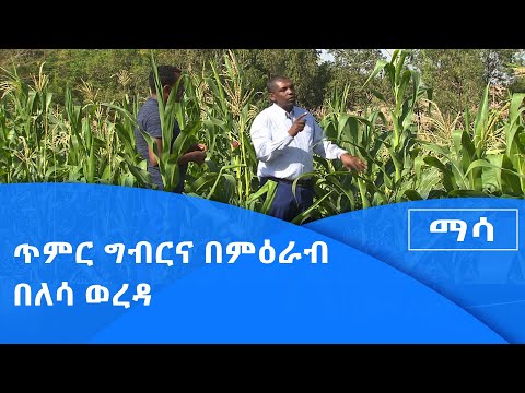 ቪዲዮ: የመካከለኛው ምዕራብ ግብርና ምንድን ነው?