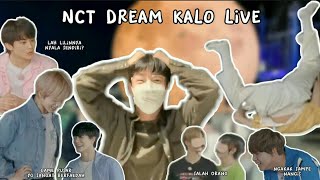 (ENG/INDO SUB) Kehebohan NCT dream kalo live | nct funny moments