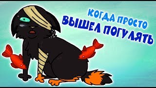 CatWar | Три нововведения у домашних CatWar | Три нововведения у домашних