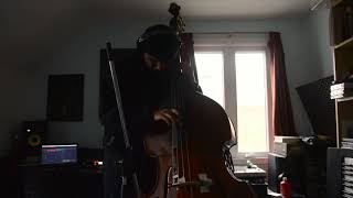 SHADOW MAN // NONAME (Bass Cover)
