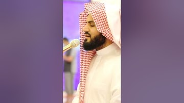 #رعد_الكردي || تلاوة آسرة 🤍 ‏﴿قَالَ لا عَاصِمَ الْيَوْمَ مِنْ أَمْرِ اللَّهِ إِلَّا مَنْ رَحِمَ..﴾