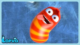 새해 복 많이 받으세요 Wildbrain 한국어 어린이를 위한 만화 Larva