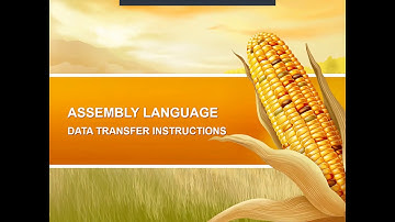 CSC159 - ASSEMBLY LANGUAGE 03/10 - DATA TRANSFER