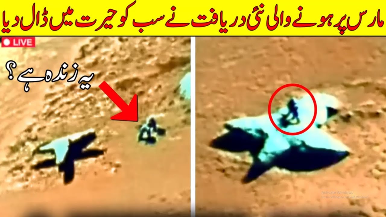 Nasa's Mars Rover just Made A Shocking Discovery That Change The World