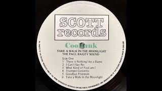 The Paul Bailey Sound - Take A Walk In The Moonlight (Disco-Boogie)