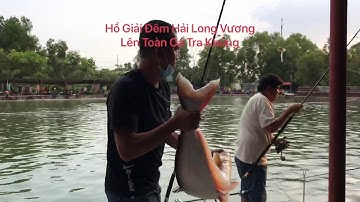 Fishing | Câu Giải Hồ Hải Long Vương lên Toàn Cá Tra HuGo
