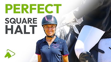 How to Perform a Perfect Square Halt | Learn with Ingrid Klimke | wehorse
