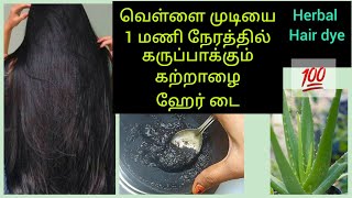 வெள்ளை முடியை 1 மணி நேரத்தில் கருப்பாகும் கற்றாழை ஹேர் டை/Aloevera black hair dye 