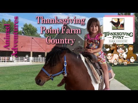 Thanksgiving Point Farm Country