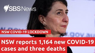 Watch live: NSW COVID-19 update | SBS News