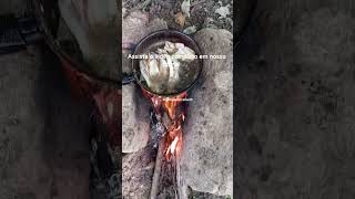 traíra frita no olho #nordeste #sertao #pescaria #frito