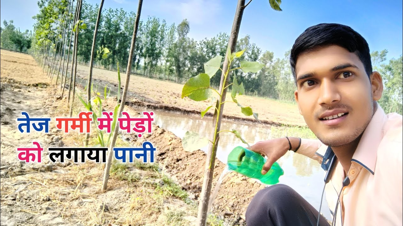 तेज गर्मी में पेड़ों को लगाया पानी Watering trees in hot summer