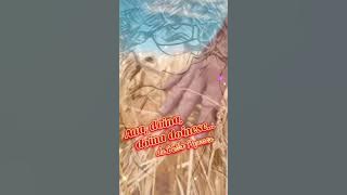 Aaa, doina, doina doinesc...