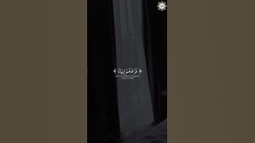 سورة آل عمران قارئ الشيخ / محمد أيوب رحمة الله.