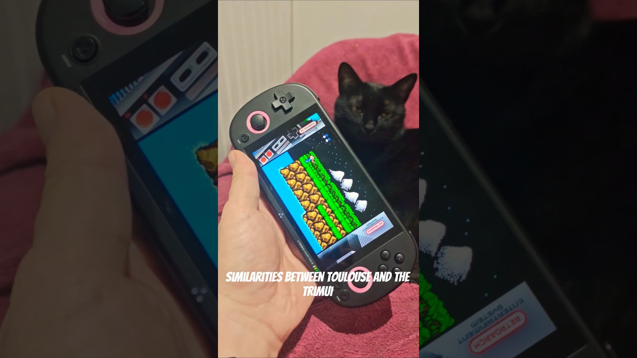 The TrimUI Smart Pro S Standby Time is Pretty Nuts