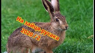 :    2020 |   - |  2